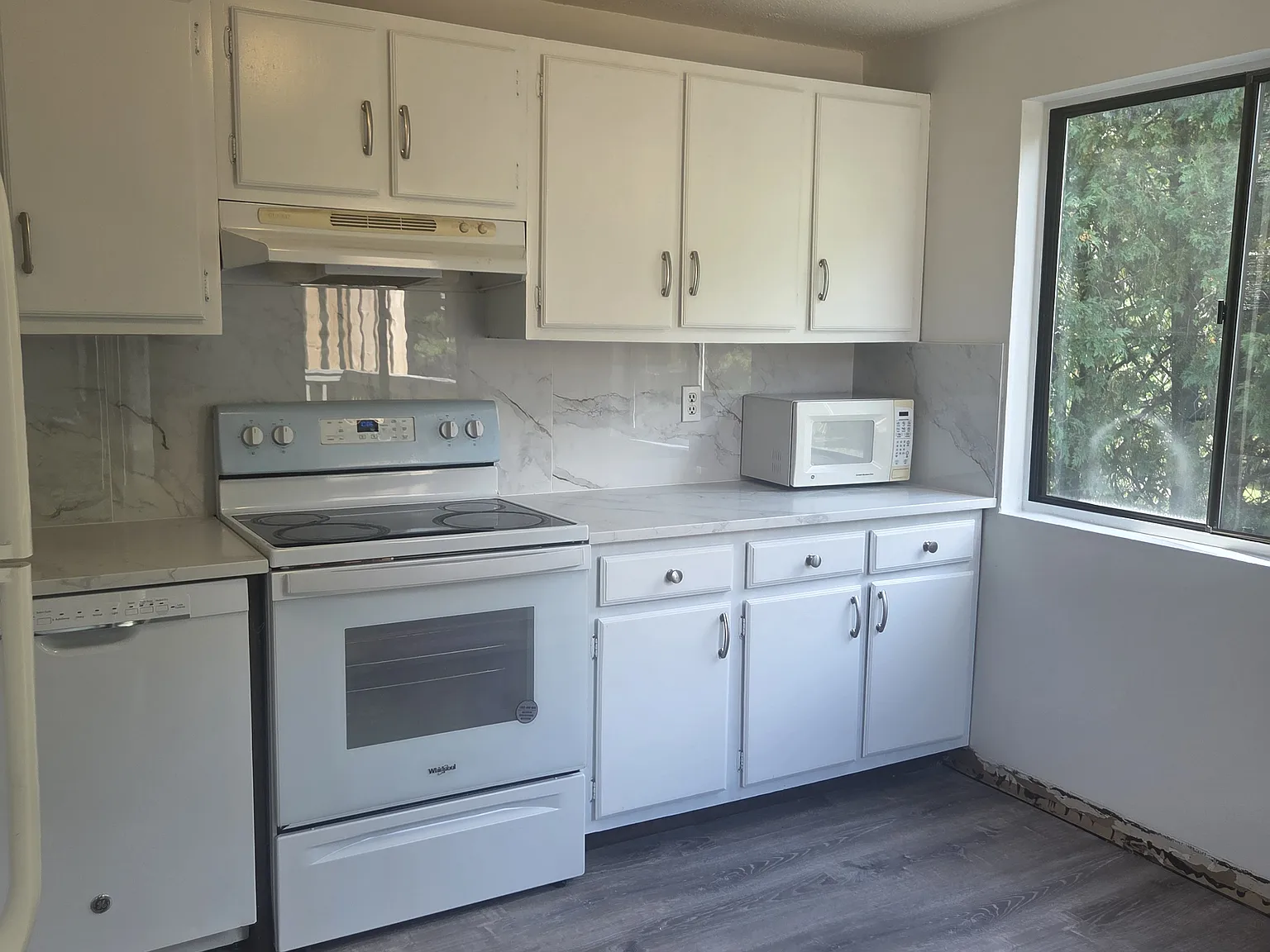 1 bed, 604 sqft, $2,000 — Photo 4
