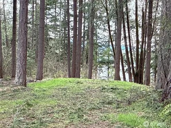 18243 SE Suncrest Court, Yelm, WA 98597