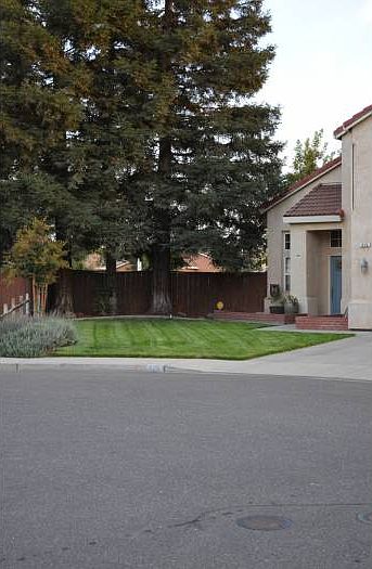 2nd image of 826 Andino Ct