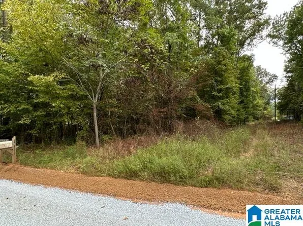 0 Lakeview Ln #3, Sylacauga, AL 35151