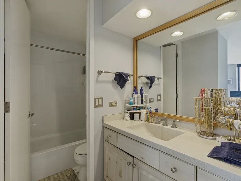 1660 N La Salle Dr #902 — Photo 15