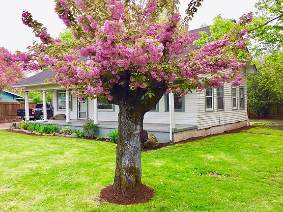 Front & side yard
