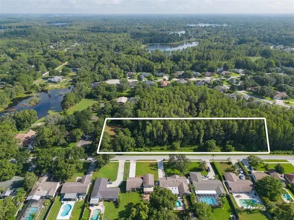 Rebecca Rd, Lutz, FL 33548