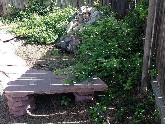 back yard