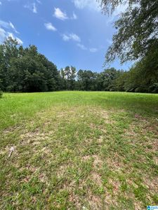 2475 County Road 228 Lot 5, Clanton, AL, 35045
