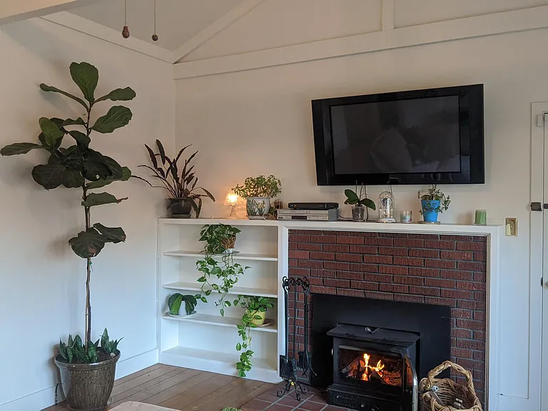 cozy wood burning stove