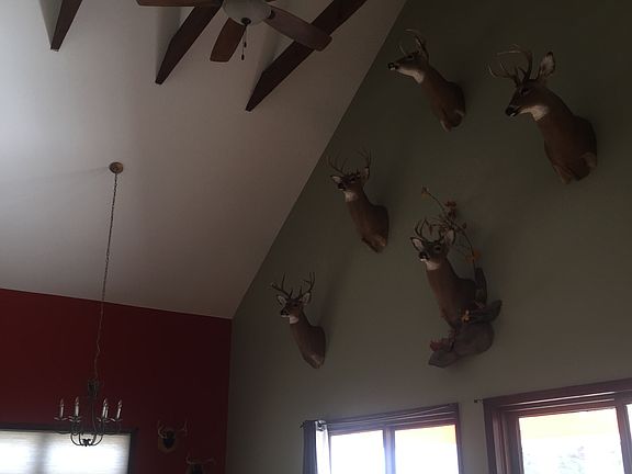 Vaulted Ceiling