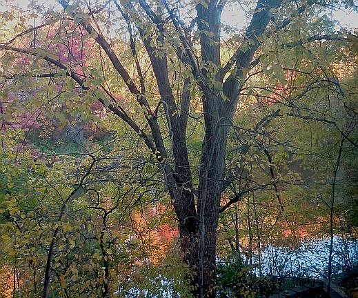View from breakfast nook