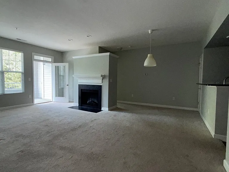 233 Eyam Hall Ln — Photo 4
