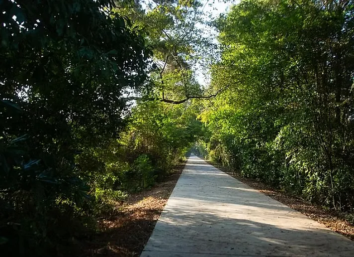 Cricket Frog Trail