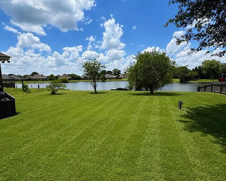 35941 Wilmington Ave — Photo 4