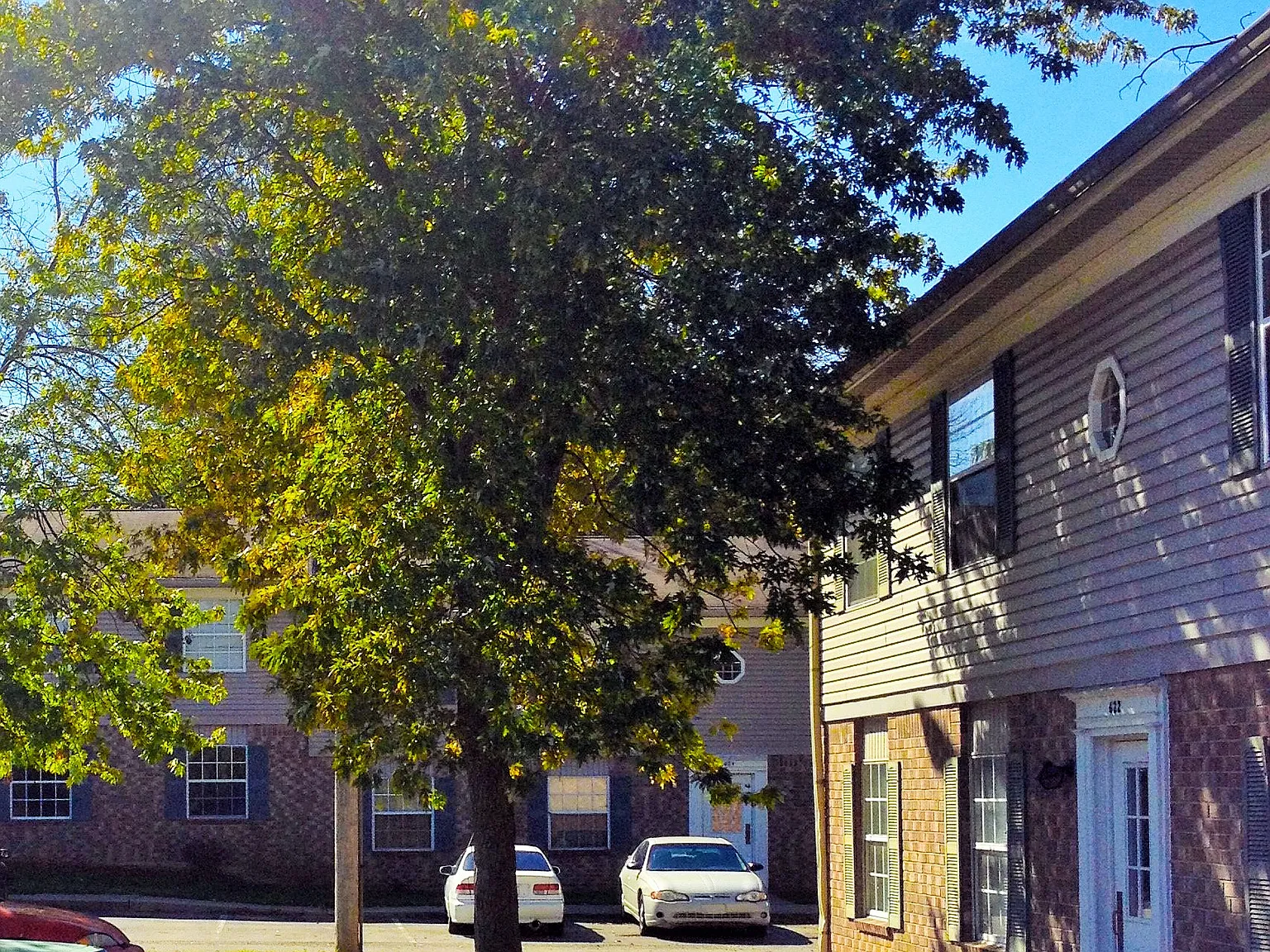 Lakeside Apartments at Walnut Hills — Photo 2