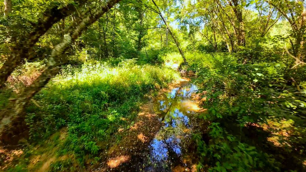 Real estate listing image