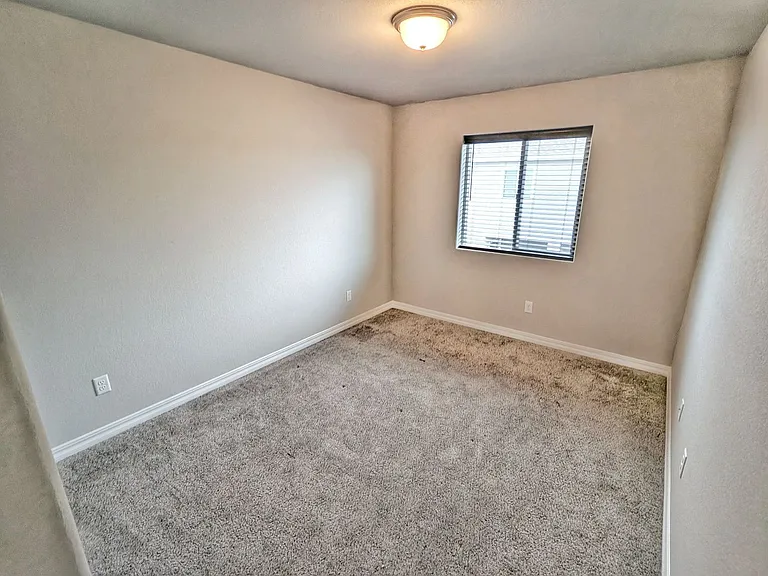 7519 Mount Elbert Point — Photo 18