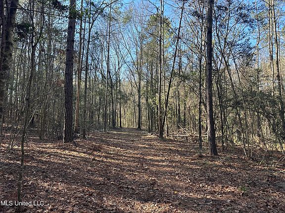 5th image of 0 Crooked Creek Rd