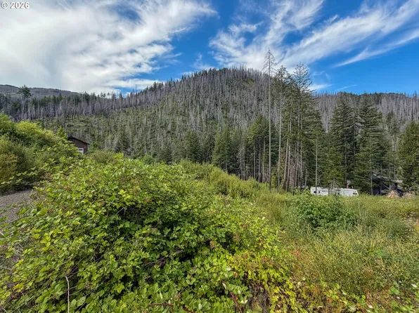 0 Evergreen Ln, Idleyld Park, OR 97447