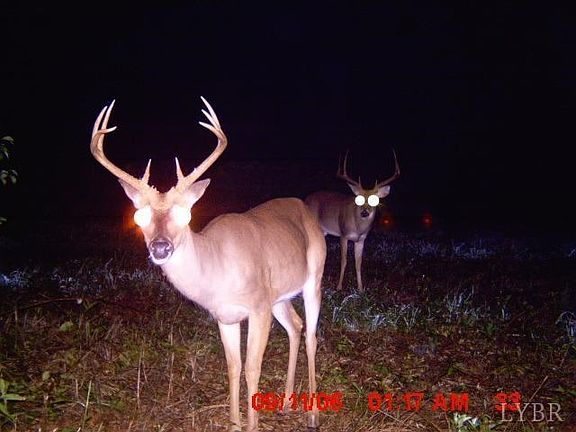 4th image of 5 Roundtree Trl Lot 5