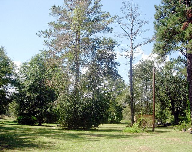 43325 Fire Tower Rd, Ponchatoula, LA 70454 Zillow
