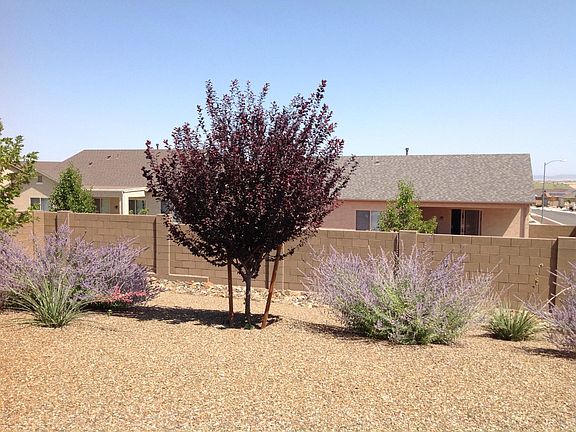 
Rear Yard facing North