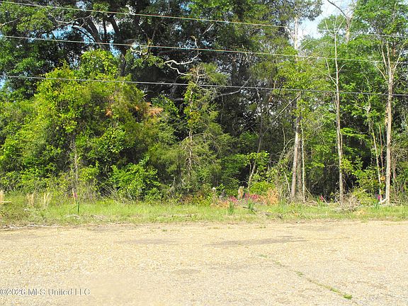3rd image of Terry Rd