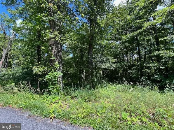 0 Bear Trl, Winchester, VA 22602