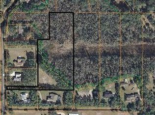 910 Country Pine Way, Lutz, FL 33549