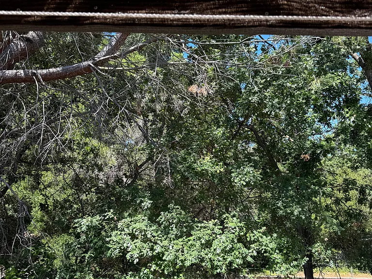 2069 Camel Ln #5 — Photo 2
