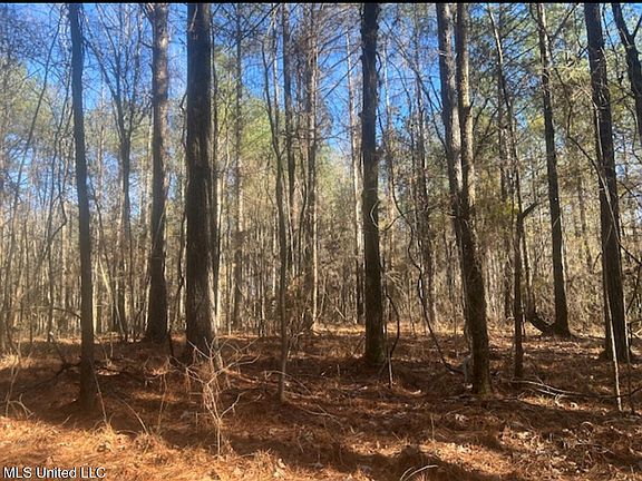 5th image of 170 Camden Rd