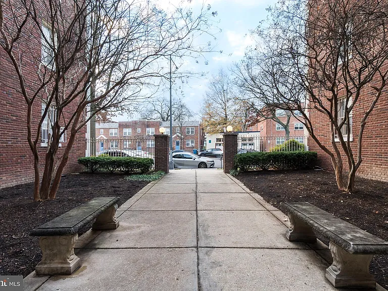 6645 Georgia Ave NW #203 — Photo 4