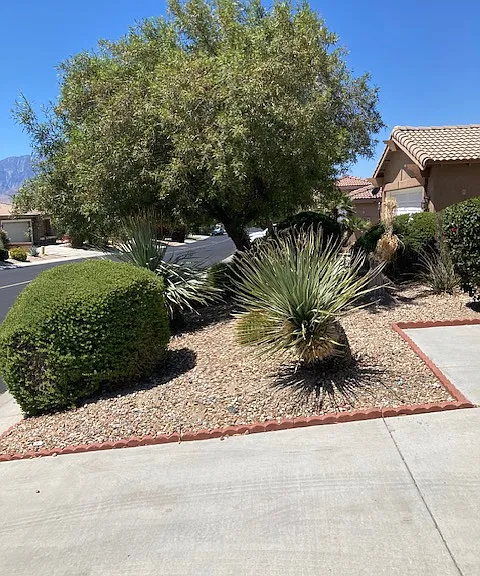 64202 Silver Star Ave — Photo 2