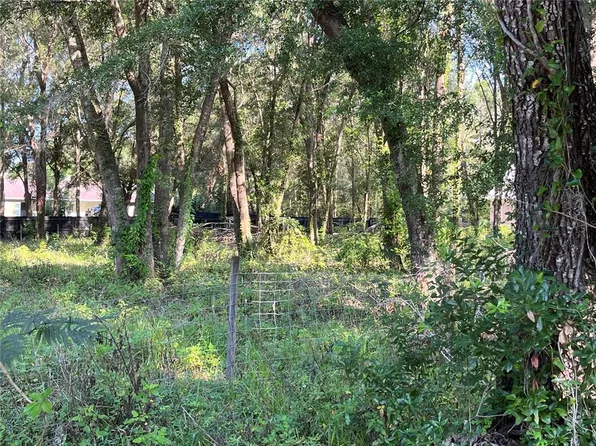 Tangerine Avenue Lot #1, Lake Helen, FL 32744