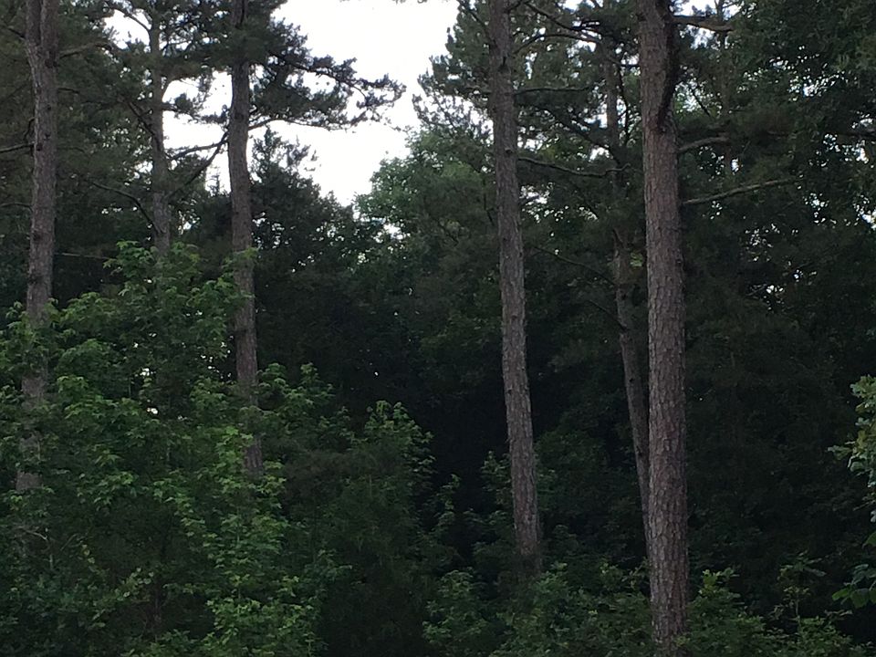 2nd image of Duvall Rd
