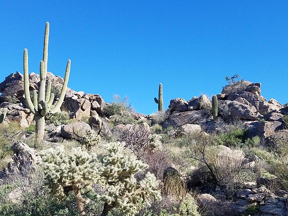 3rd image of 1778 W Tortolita Mountain Cir #585