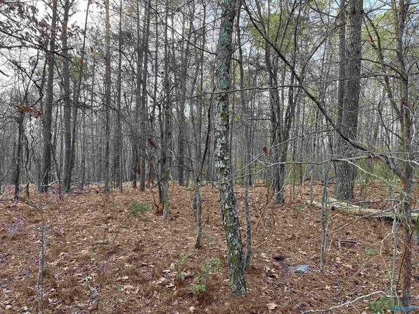 Indian Hills Rd SE, Decatur, AL 35603