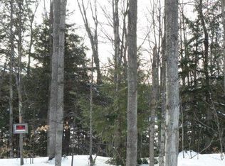 W Martin Lake Rd, Gaylord, MI 49735