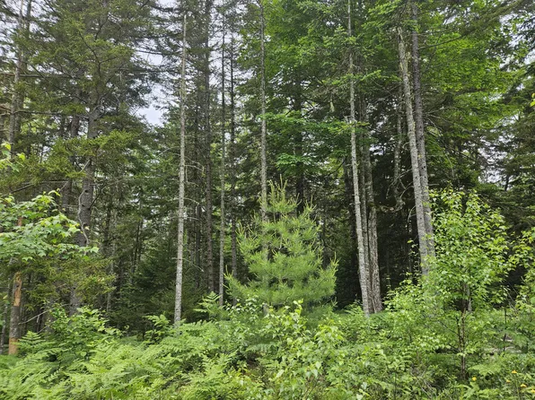 M14L33A Off Smithville Road, Steuben, ME 04680