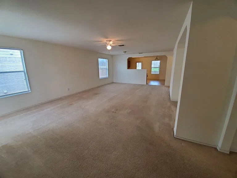 25714 Gold Yarrow — Photo 4