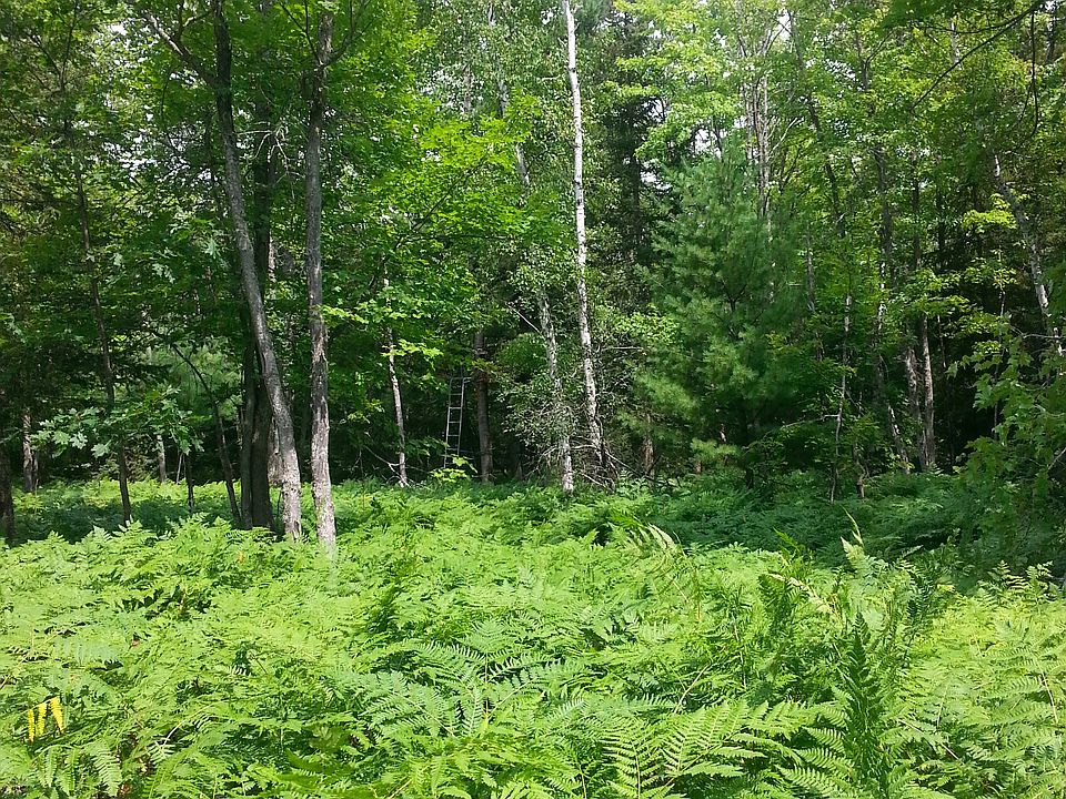 1st image of 40 Acres S. Basin Dr