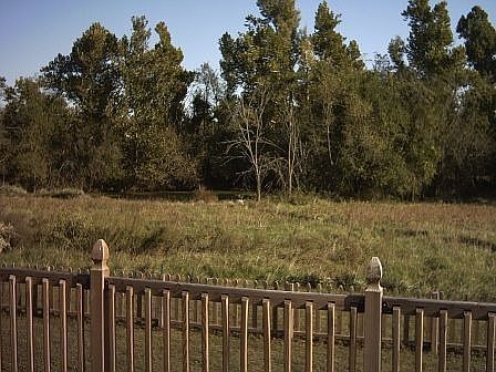 view of pond from deck