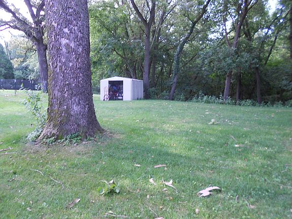 back yard