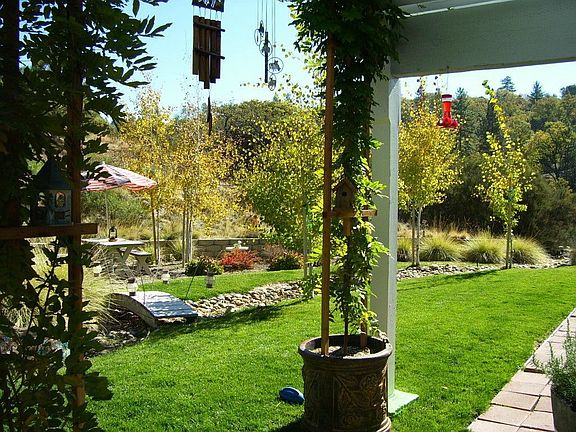 Under the Pergola on Patio