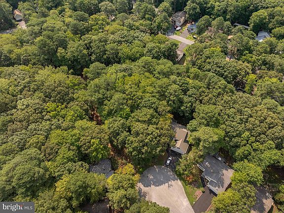 4th image of 24 Sassafras Ln