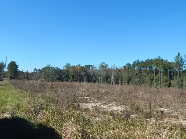Blackberry Ln, Lucedale, MS 39452