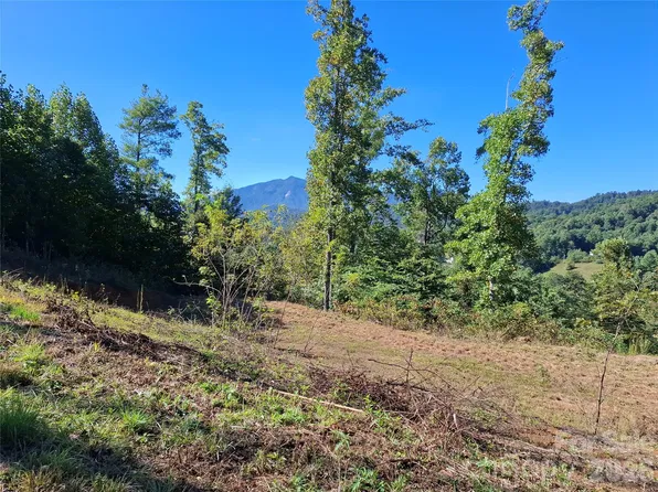1 River Rd #1, Burnsville, NC 28714