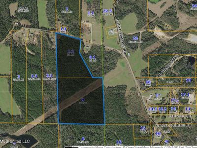 0 Rainey Rd, Moselle, MS, 39459