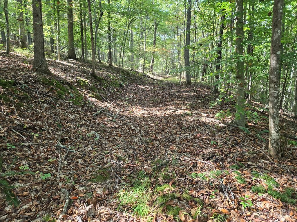 Real estate listing image