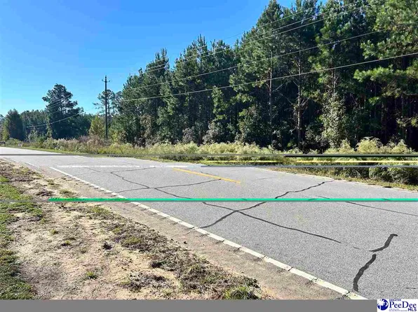 LOT 1 New Market Rd, Hartsville, SC 29550