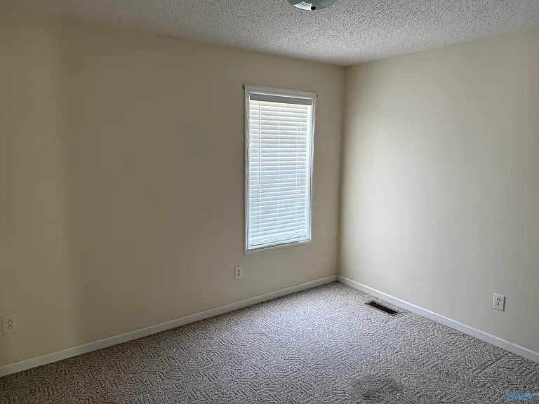 30401 Fort Hampton St — Photo 6