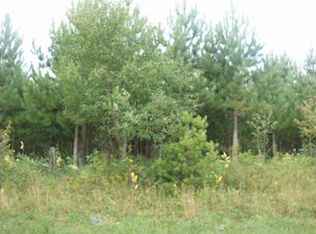 13 Near Old Rd, Park Falls, WI 54552