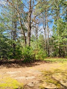 4 Carissa Ct, Cape Charles, VA, 23310